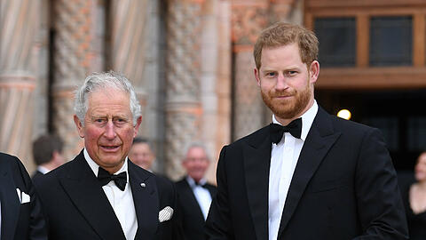 So harmonisch wie hier ist es zwischen Prinz Charles mit seinem Sohn, Prinz Harry, schon länger nicht mehr.