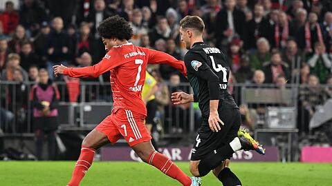 Serge Gnabry (l) von München kämpft mit Niklas Stark von Bremen um den Ball.