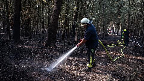 Zuletzt musste die Feuerwehr im H&uuml;rtgenwald nur noch Glutnester l&ouml;schen. (Archivbild)