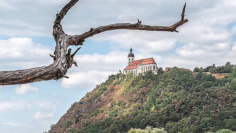 Der Bogenberg mit der Wallfahrtskirche. Der Bogenberg mit der Wallfahrtskirche.
