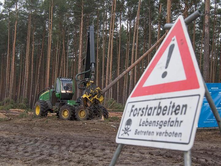 Der US-Elektroautobauer Tesla hat bereits damit begonnen, für sein neues Werk in Grünheide Wald roden zu lassen.