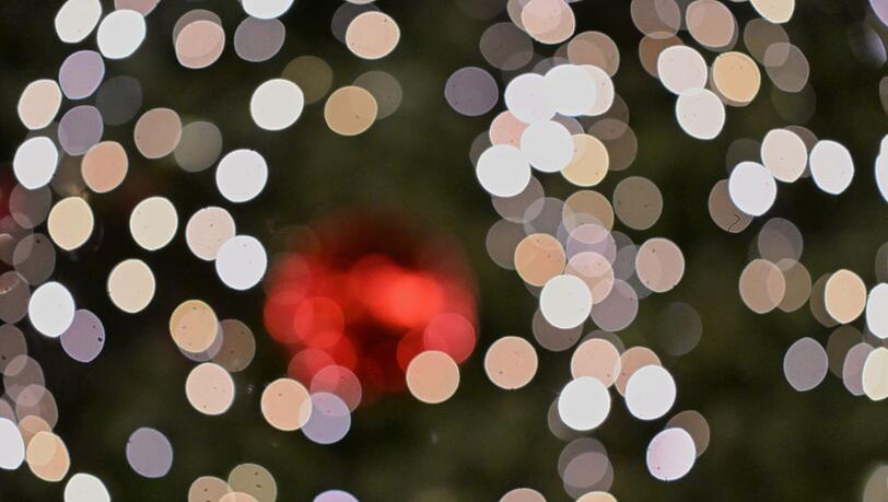 F&uuml;r eine Geschichte wie aus einem Weihnachtsfilm sorgte ein Weihnachtsbaum-Dieb im Unterallg&auml;u. (Symbolbild)