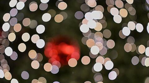 F&uuml;r eine Geschichte wie aus einem Weihnachtsfilm sorgte ein Weihnachtsbaum-Dieb im Unterallg&auml;u. (Symbolbild)