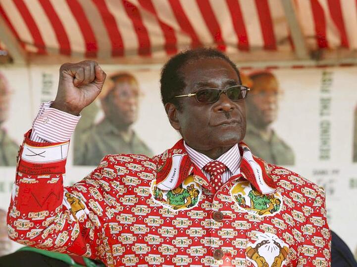 Mugabe reckt 2008 bei einer Wahlkampfveranstaltung die Faust in die Höhe.