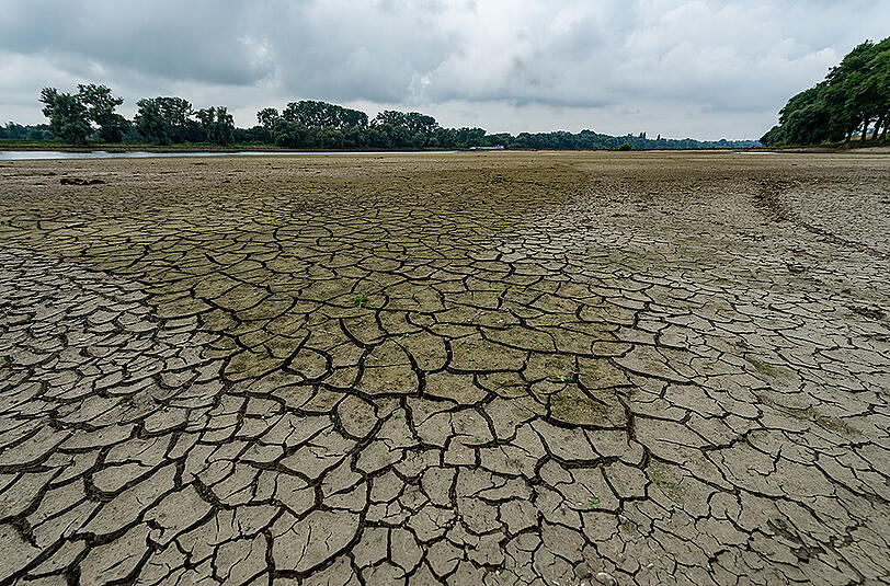 Ausgetrocknet und aufgeplatzt: Eine Sandbank in der Donau im niederbayerischen Mariaposching. Den starken Regen nach der Hitzewelle konnte dieser Boden gar nicht aufnehmen.