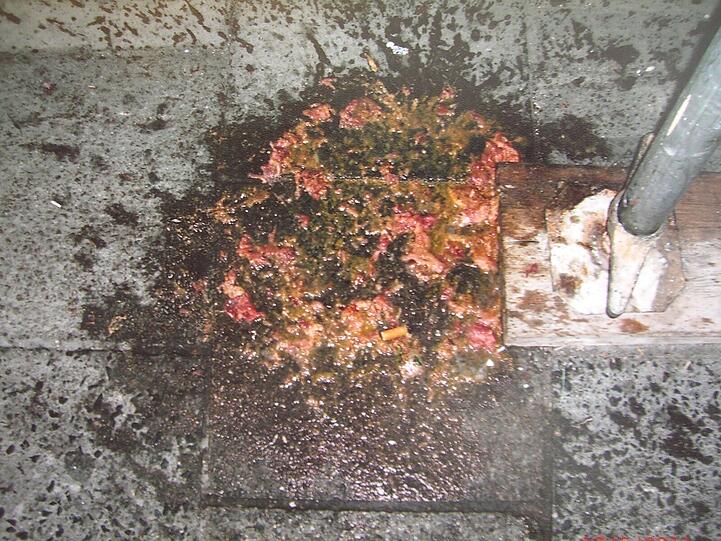 So wild geht's rund um die Schwanthalerstraße 1 an der Feier-Meile zu: Diese Bilder haben Anwohner geschossen und der AZ zur Verfügung gestellt