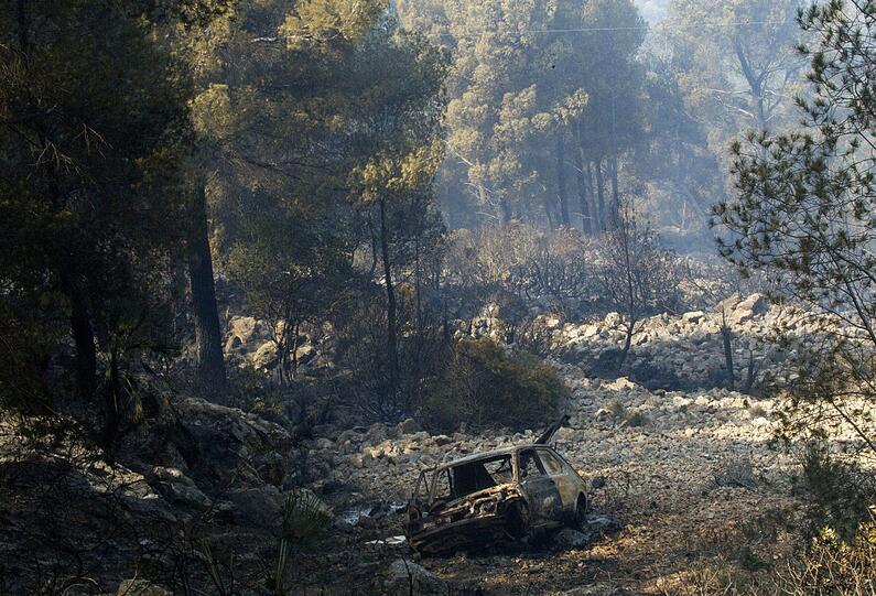 Waldbrand auf Mallorca - Bilder von der Ferieninsel