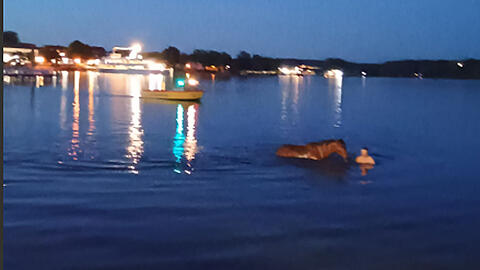 Pferd samt Reiter im Starnberger See. Beide blieben zum Gl&uuml;ck unverletzt.