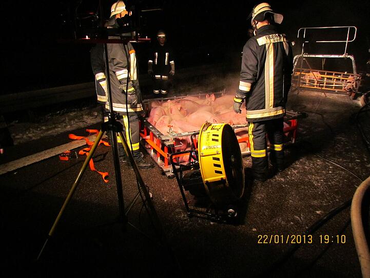 Auf der A3 ist ein Lkw mit einer Ladung lebender Schweine in Brand geraten. 45 Tiere kamen dabei ums Leben. Die Bilder vom Unfall...