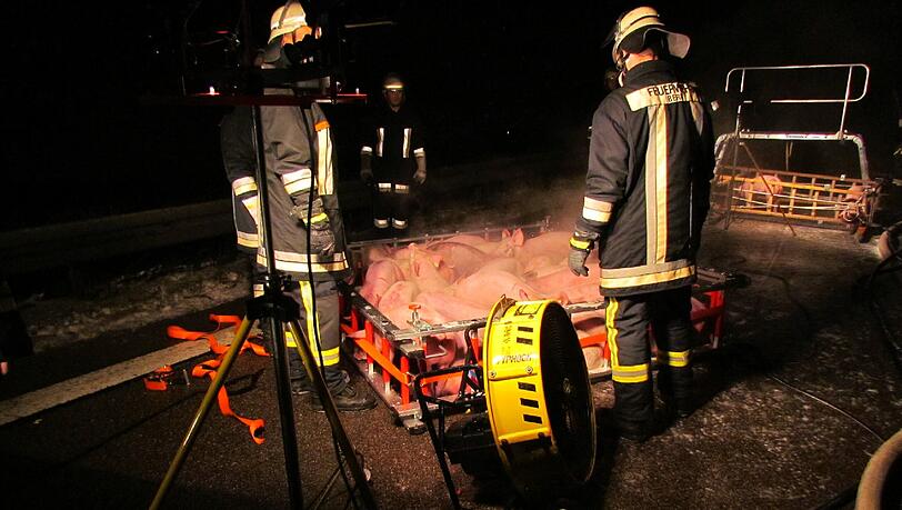 Auf der A3 ist ein Lkw mit einer Ladung lebender Schweine in Brand geraten. 45 Tiere kamen dabei ums Leben. Die Bilder vom Unfall... Auf der A3 ist ein Lkw mit einer Ladung lebender Schweine in Brand geraten. 45 Tiere kamen dabei ums Leben. Die Bilder vom Unfall...