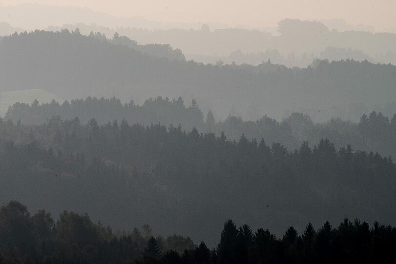 Die Bayerischen Staatsforsten bewirtschaften 800 000 Hektar Wald.