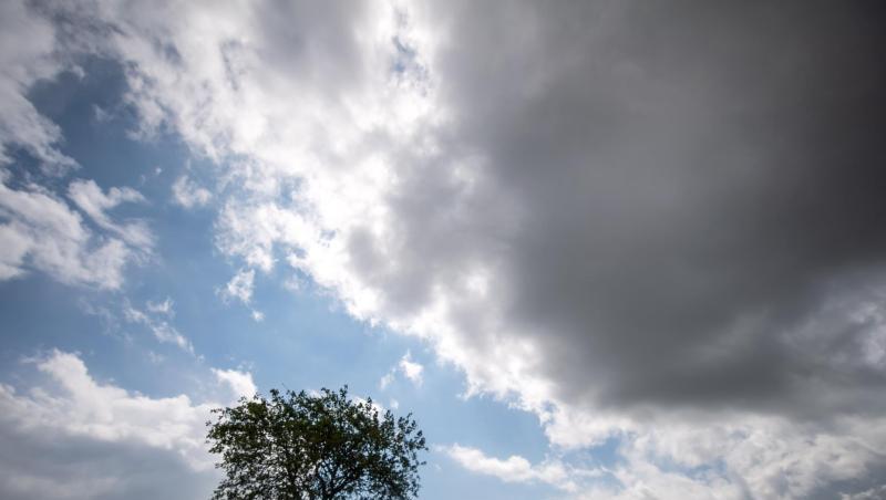 Dunkle Wolken ziehen am Himmel über einen Baum hinweg. Dunkle Wolken ziehen am Himmel über einen Baum hinweg.
