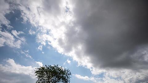 Dunkle Wolken ziehen am Himmel über einen Baum hinweg.