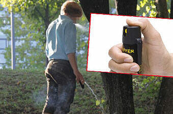 Beim Wildbiesln erwischt: Ein 24-Jähriger setzte daraufhin Reizgas gegen einen Security ein. (Archivbild)