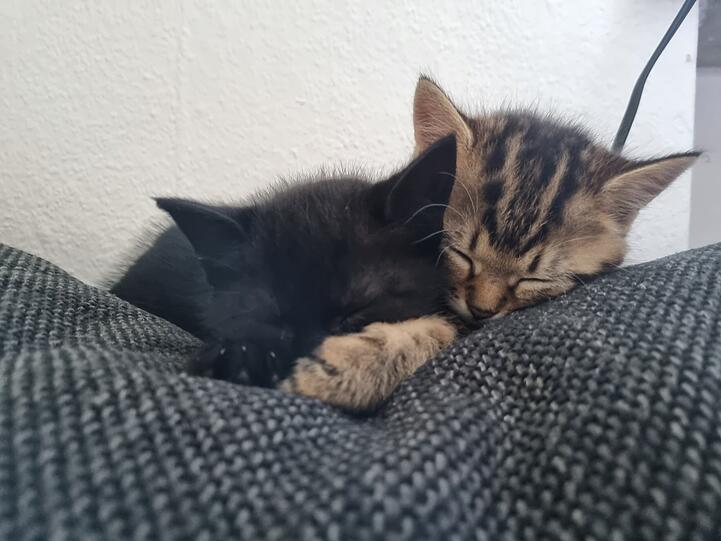 Theo und Mira