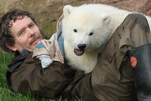 Solche Bilder berührten die Herzen vieler Tierfreunde: Eisbären-Mädchen &bdquo;Flocke&ldquo; und Pfleger Horst Maussner.