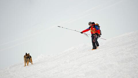 Dreißig Retter und drei Hunde suchten nach dem Verschütteten. Er wurde zu spät gefunden: am Wochenende erlag der Jugendliche seinen schweren Verletzungen. (Symbolbild)