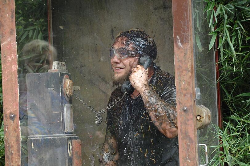 Kesici muss ans Dschungel-Telefon und dabei Fragen beantworten. Immer wieder gibt's Tierchen, Krabbler und ekligen Schleim über die Rübe.