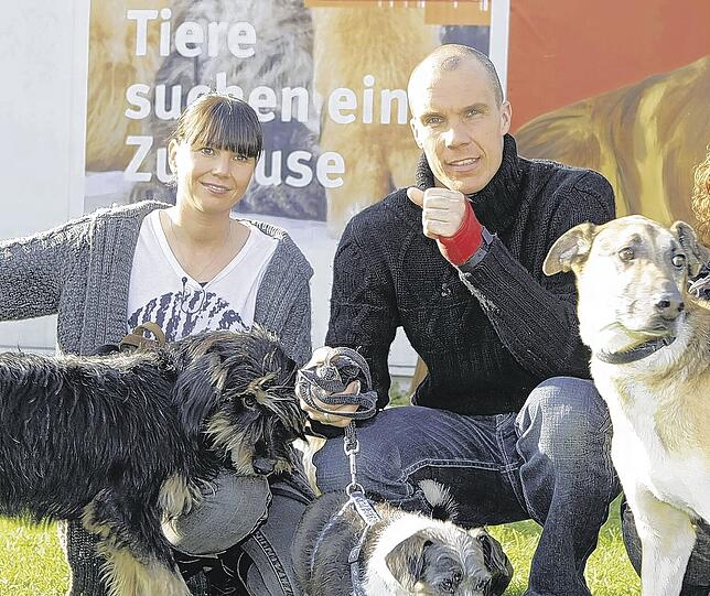 "Wir wollen eine ganz normale Familie sein": Robert Enke mit seiner Frau Teresa und Hunden bei der WDR-Sendung "Tiere suchen ein Zuhause"