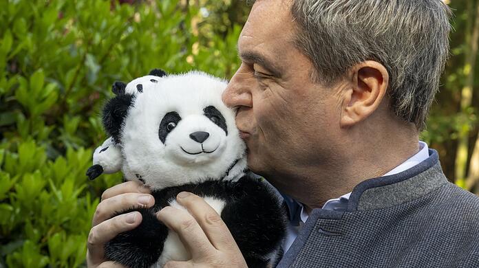 Markus Söder mit einem Plüsch-Panda während seiner China-Reise im März.