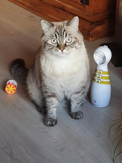 Rüdiger