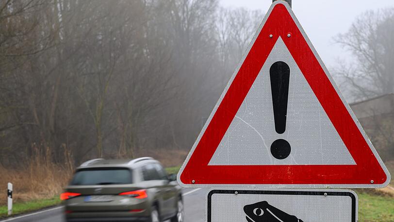 Der Luftdruck schnell vorbeifahrender Autos kann Amphibien ebenfalls töten. (Symbolbild)