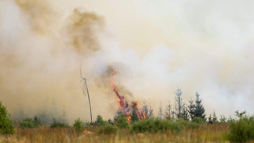 Flammen in der Hochmoor- und Sumpflandschaft Hohe Venn - es liegt unweit der deutschen Grenze.