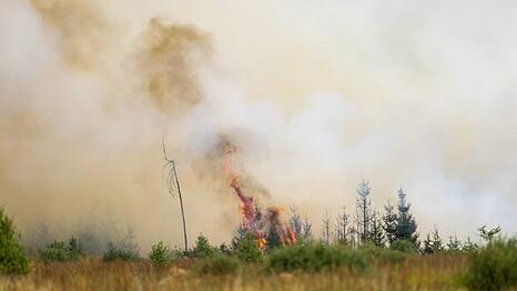 Flammen in der Hochmoor- und Sumpflandschaft Hohe Venn - es liegt unweit der deutschen Grenze.