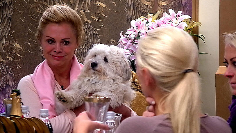 Marijke bedankt sich bei ihren Mitbewohnern für eine schöne Zeit. Vor allem Jenny hat sie in ihr Herz geschlossen.