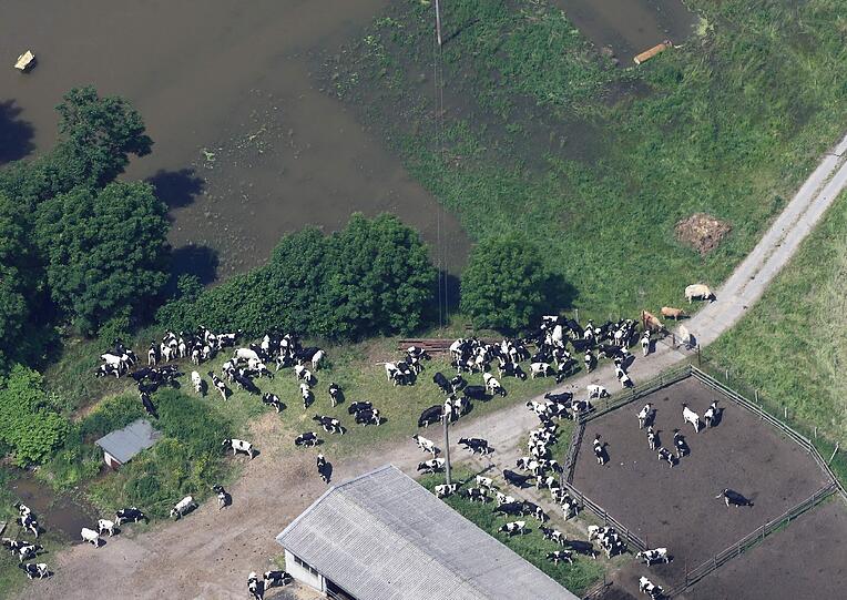 Deichbruch bei Fischbeck in Sachsen-Anhalt - Aktuelle Bilder vom Hochwasser