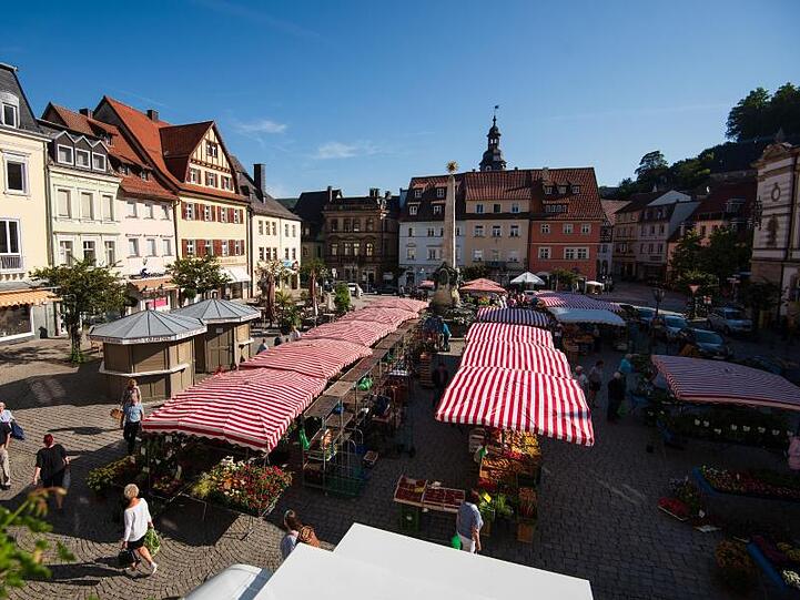 Blick auf den Wochenmarkt auf dem Markplatz von Kulmbach. Foto: Nicolas Armer/Archivbild