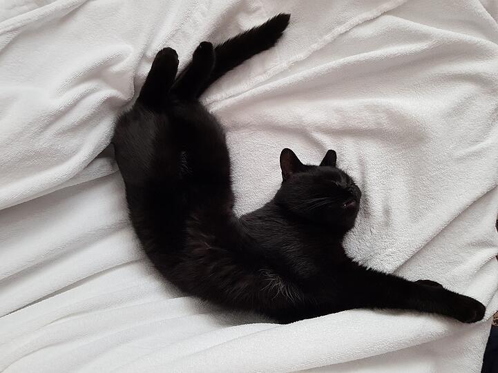 Zeytin