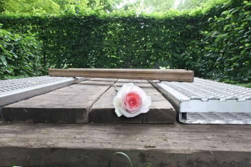 Die erste Rose liegt schon da: Das frisch ausgehobene Grab, in dem Barbara Rudnik bestattet wird.