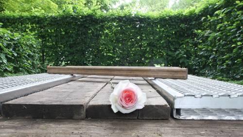 Die erste Rose liegt schon da: Das frisch ausgehobene Grab, in dem Barbara Rudnik bestattet wird. Die erste Rose liegt schon da: Das frisch ausgehobene Grab, in dem Barbara Rudnik bestattet wird.