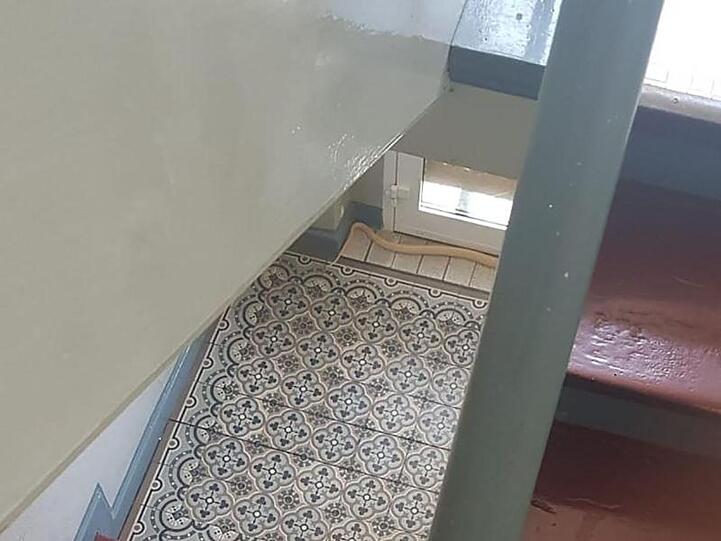 Mit Abstand und Handy aufgenommen: die entwichende Monokelkobra im Treppenhaus.