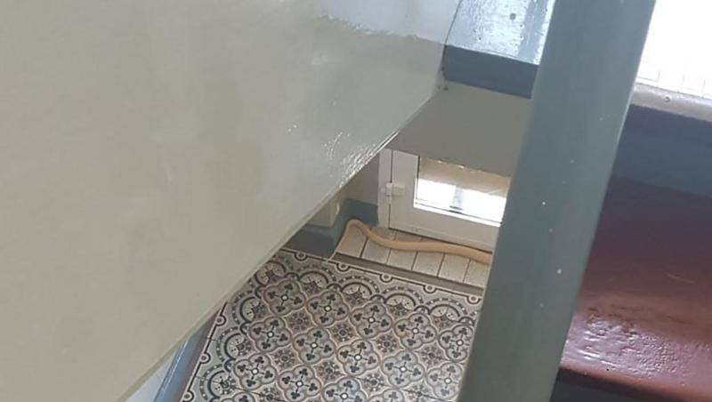 Mit Abstand und Handy aufgenommen: die entwichende Monokelkobra im Treppenhaus. Mit Abstand und Handy aufgenommen: die entwichende Monokelkobra im Treppenhaus.