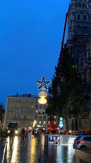 Der Christbaum schwebt vor dem Rathaus.