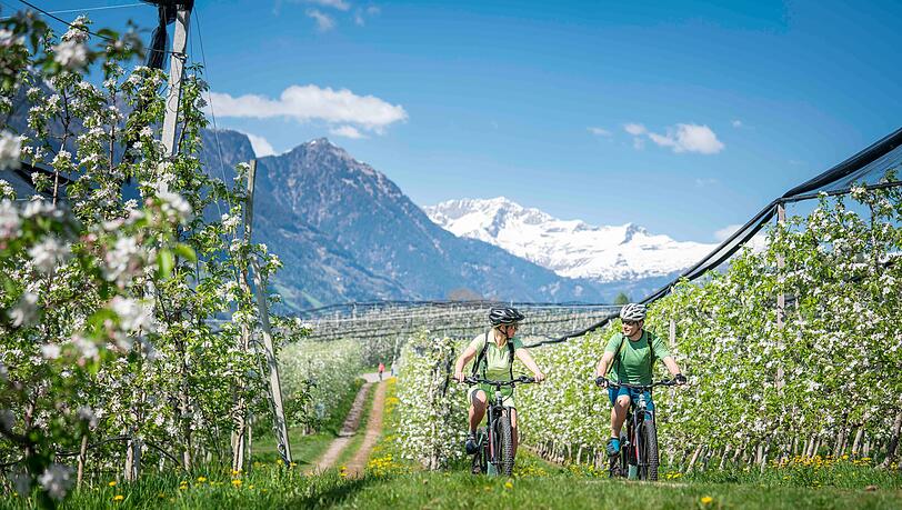 Radtouren für alle Ansprüche, wie hier am Wiesenweg. Radtouren für alle Ansprüche, wie hier am Wiesenweg.