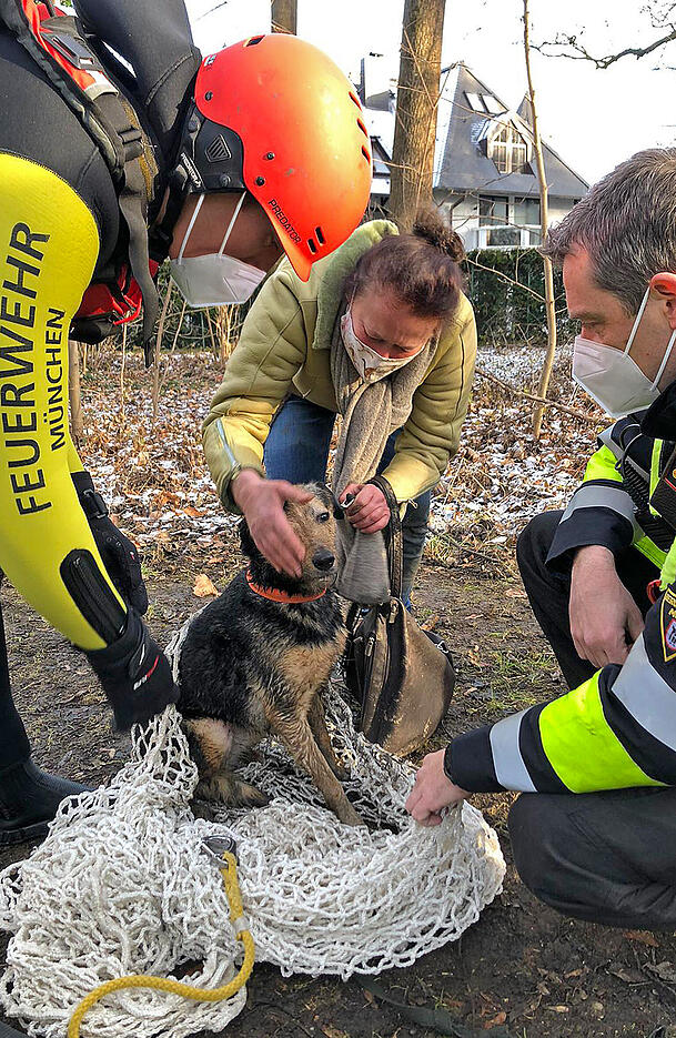 Hundedame "Violetta" konnte unverletzt zu ihrer Besitzerin zurückgebracht werden.