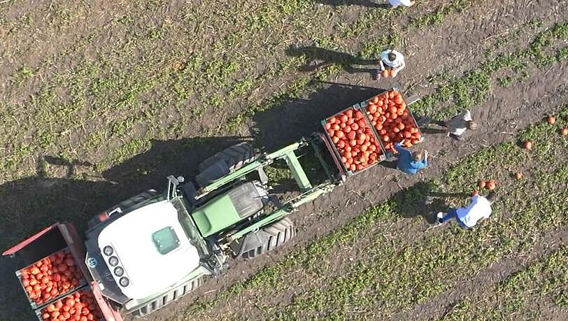 Im Bereich Obst und Gemüse hat die regionale Beschaffung aus heimischer Landwirtschaft für REWE immer Priorität. Im Bereich Obst und Gemüse hat die regionale Beschaffung aus heimischer Landwirtschaft für REWE immer Priorität.