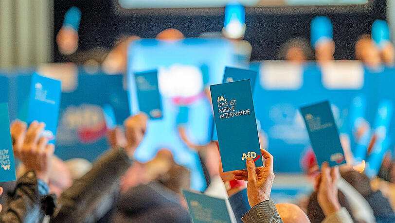 Warum wenden sich immer mehr Menschen der AfD zu? "Die Kommunikation zwischen Politik und Bevölkerung ist nicht in Ordnung", sagt Wissenschaftler Heinrich Oberreuter.