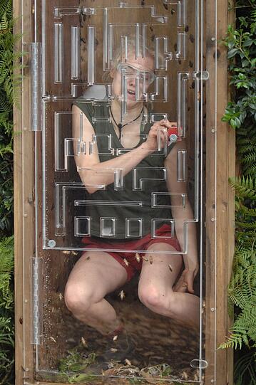Kakerlaken-Dusche! Die Bilder von Tag 15 im Dschungelcamp...