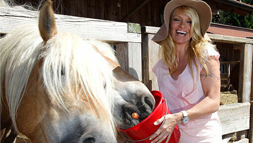 Sex-Symbol Pamela Anderson füttert Pferde auf Gut Aiderbichl. Sex-Symbol Pamela Anderson füttert Pferde auf Gut Aiderbichl.