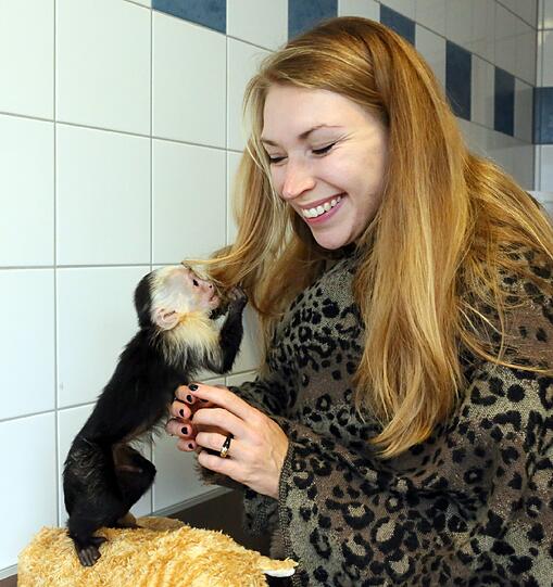 So süß: Der Affe "Mally" von Justin Bieber wartet im Tierheim