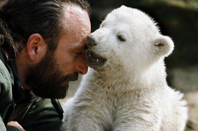 Zusammen mit seinem "Ziehvater", dem Tierpfleger Thomas Dörflein, genießt Eisbär-Baby Knut bei seinem ersten öffentlichen Auftritt im Berliner Zoo die warmen Sonnenstrahlen (Archivfoto vom 23.03.2007).
