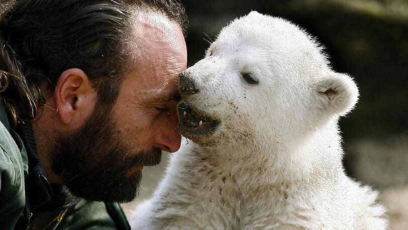 Zusammen mit seinem "Ziehvater", dem Tierpfleger Thomas Dörflein, genießt Eisbär-Baby Knut bei seinem ersten öffentlichen Auftritt im Berliner Zoo die warmen Sonnenstrahlen (Archivfoto vom 23.03.2007). Zusammen mit seinem "Ziehvater", dem Tierpfleger Thomas Dörflein, genießt Eisbär-Baby Knut bei seinem ersten öffentlichen Auftritt im Berliner Zoo die warmen Sonnenstrahlen (Archivfoto vom 23.03.2007).