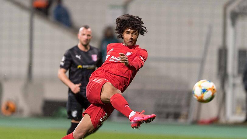 Traum-Volley zum 4:1: Joshua Zirkzee erzielte gegen Halle seinen zweiten Saisontreffer für die Bayern-Amateure.