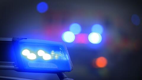Die Polizei brachte die unbeschädigte Figur zurück. (Symbolbild)