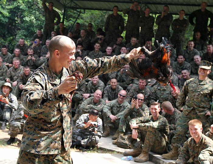 Maden, Schlangen-Blut, abgebissene Hühnerköpfe: Im Rahmen der Operation "Cobra Gold" lernen US-Soldaten in Südostasien das Überleben im Dschungel - die Bilder.