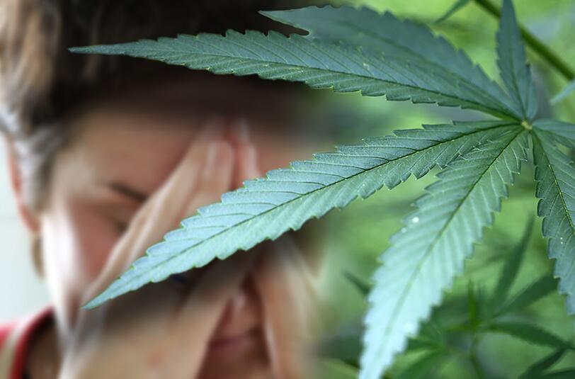 THC hilft erwiesenermaßen bei bestimmten Krankheiten bei der Schmerzlinderung. In der Apotheke ist der Wirkstoff jedoch für viele zu teuer. Sollen Patienten in Zukunft zuhause Cannabis zu Therapiezwecken anbauen dürfen?